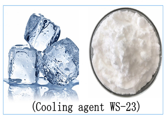 Coolada поставки ws-23/охлаждающий агент /cooler /koolada WS-23 порошка охлаждающего агента ws-23 ws-12 ws-7 ws-5 ws-3
